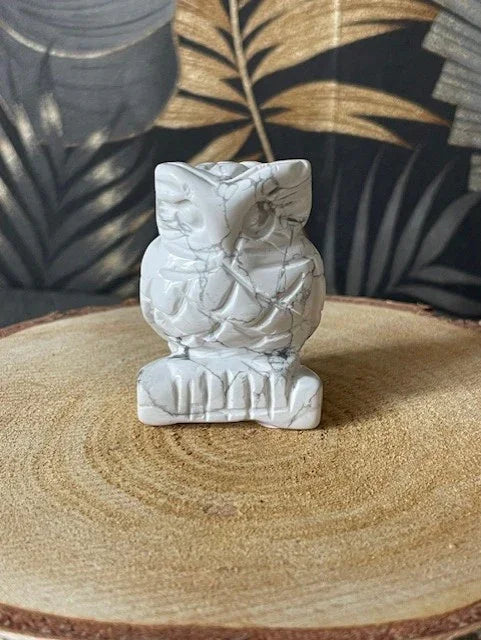 Collection "Chouette"