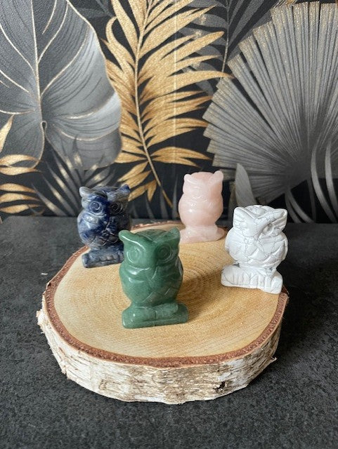 Collection "Chouette"