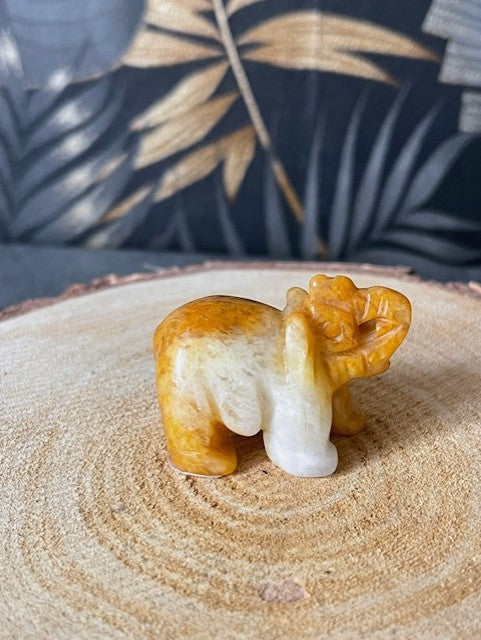 Collection "Eléphant"
