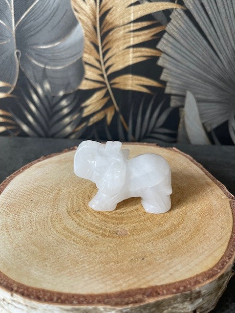 Collection "Eléphant"