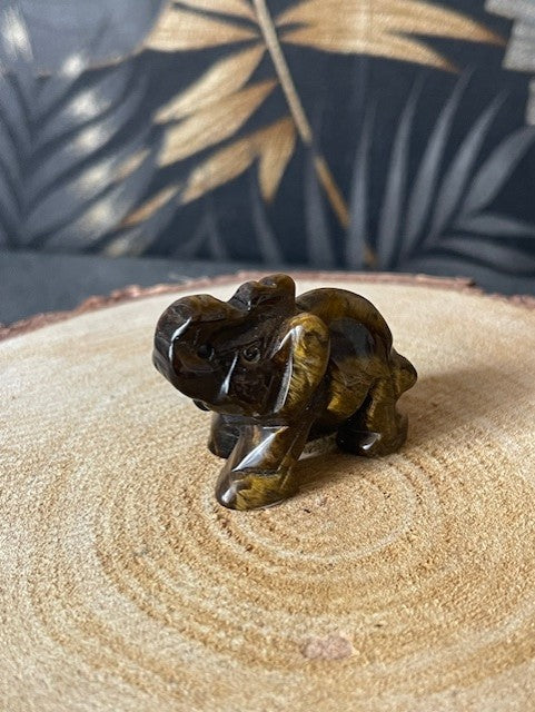 Collection "Eléphant"