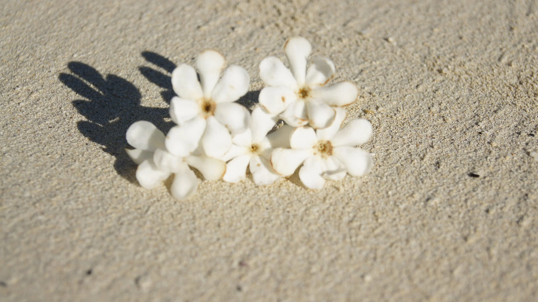 Événements et Salons à venir.