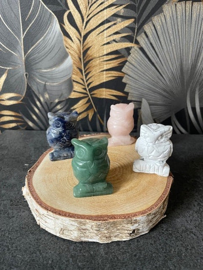 Collection "Chouette"