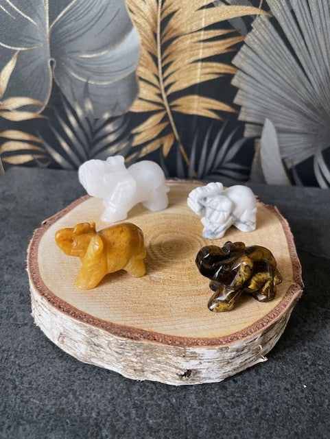 Collection "Eléphant"