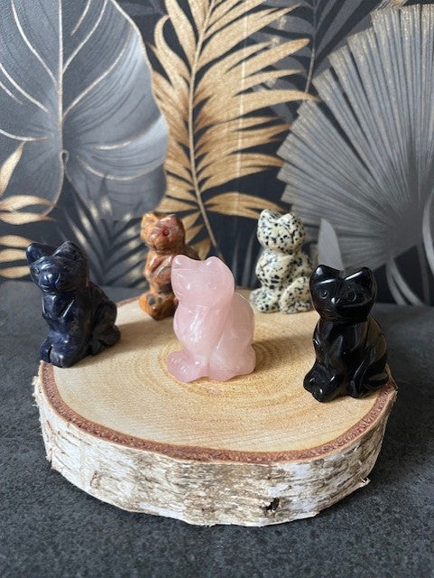 Collection "Chat"